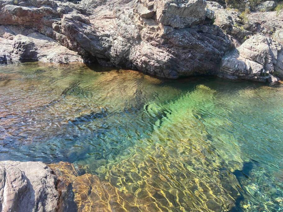 Exceptionnelle Vue Mer Calvi - Piscine - T2 Buitenkant foto